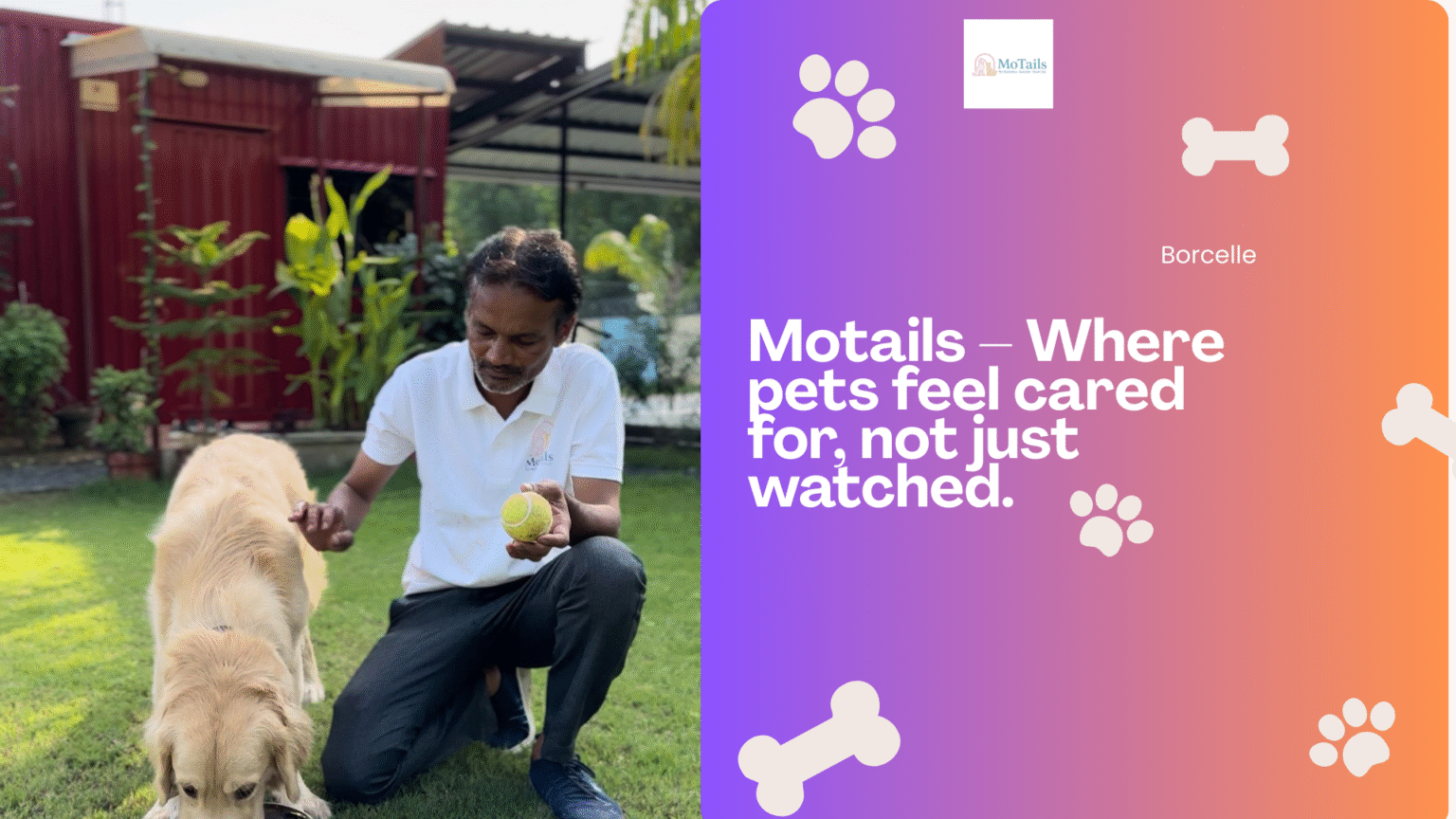 Where pets feel cared for, not just watched.
