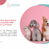 Why Pet Boarding Is Better Than Leaving Pets With Neighbours or Friends