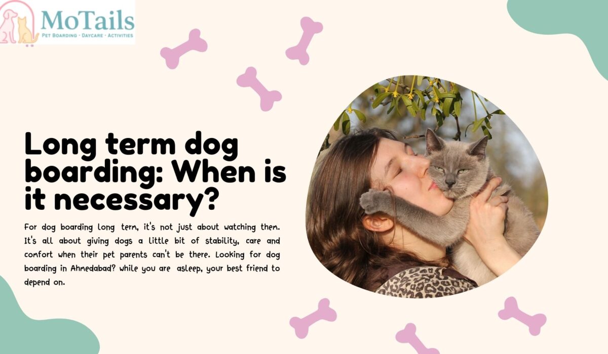 Long term dog boarding When is it necessary