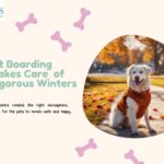 How a Pet Boarding Centre Takes Care of Pets in Rigorous Winters